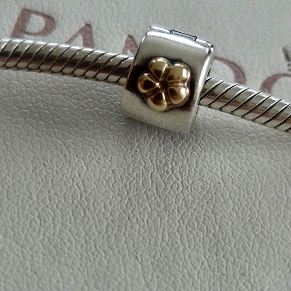 Pandora 2 Tone Clip Charm